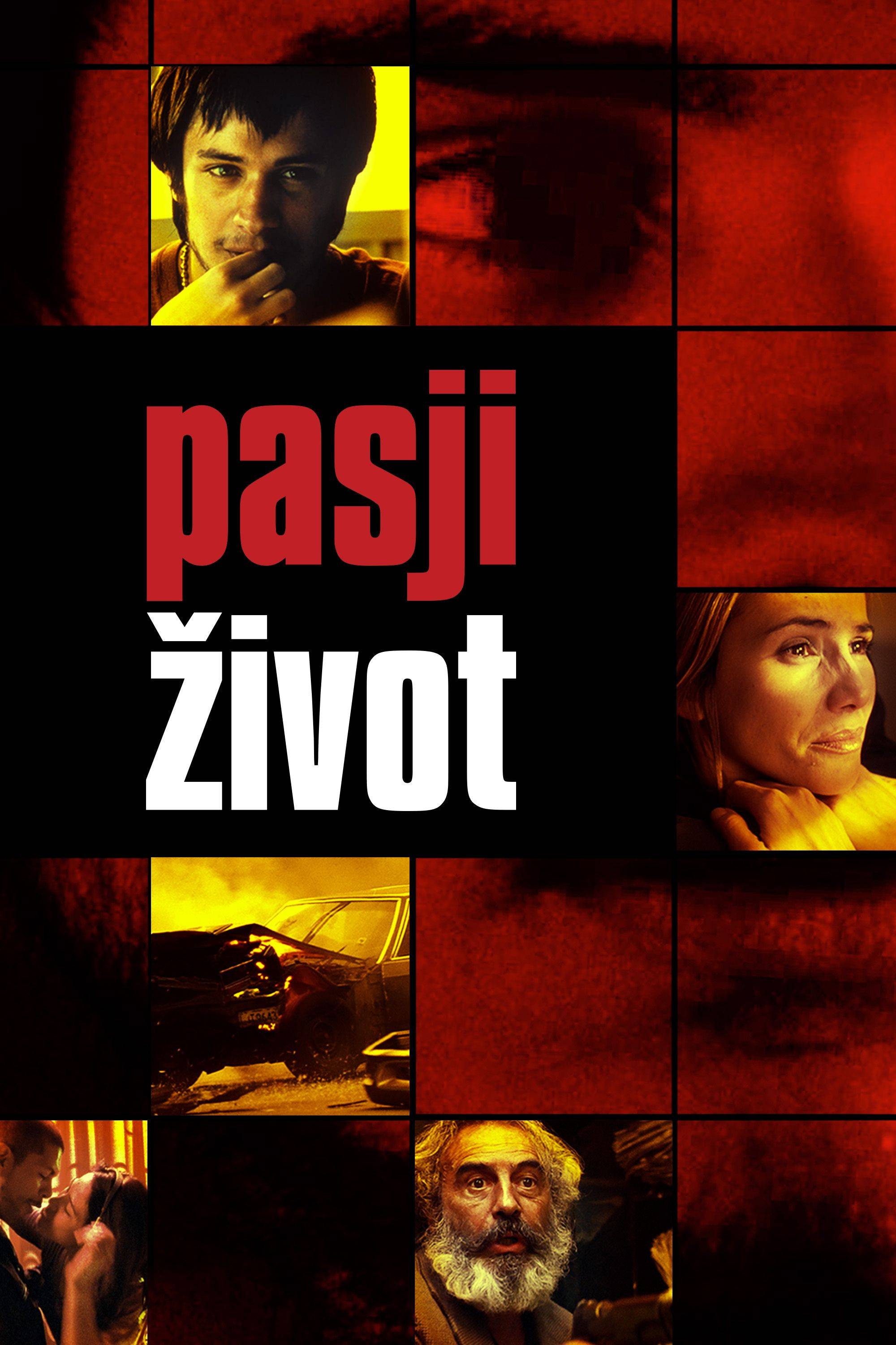 Poster za film  Pasji život 