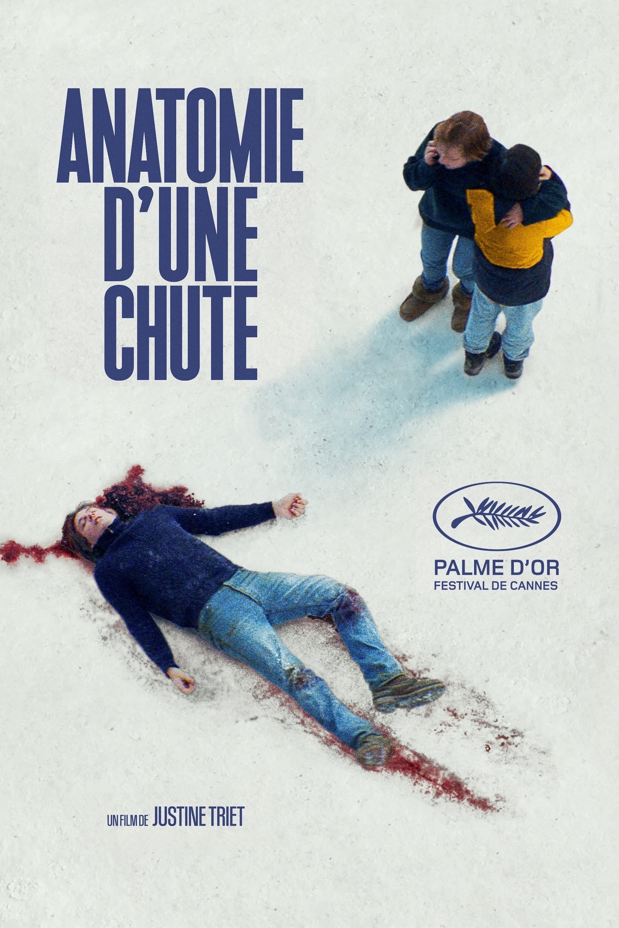 Poster za film  Anatomija pada 